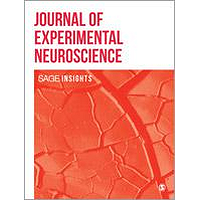 what is experimental neuroscience